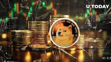 ¡Dogecoin (DOGE) Se Dispara un 11% en Horas! Descubre Qué Impulsa el Aumento - Cripto Boom
