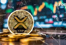 ¡XRP se Dispara un 14,134% en 24 Horas por Desequilibrio de Liquidación! Descubre los Detalles Aquí - Cripto Boom
