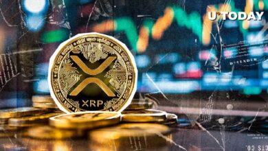 ¡XRP se Dispara un 14,134% en 24 Horas por Desequilibrio de Liquidación! Descubre los Detalles Aquí - Cripto Boom