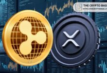 Experto Revela Consejos Clave para Inversores de XRP en Medio de la Nueva Alianza Humanitaria de Ripple - Descubre Más Aquí - Cripto Boom