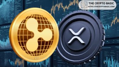 Experto Revela Consejos Clave para Inversores de XRP en Medio de la Nueva Alianza Humanitaria de Ripple - Descubre Más Aquí - Cripto Boom