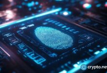 Conecta personas y plataformas: El camino hacia la descentralización centrado en la identidad | Opinión - Cripto Boom