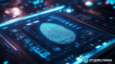 Conecta personas y plataformas: El camino hacia la descentralización centrado en la identidad | Opinión - Cripto Boom
