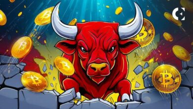 ¡Descubre el Potencial Rally Alcista en Bitcoin con la Ruptura del Gráfico Mensual! - Cripto Boom
