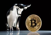 ¿Seguirá el Rally de Bitcoin? Expertos de Empresas Analíticas Opinan - Cripto Boom