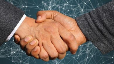 SingularityDAO se Fusiona con Cogito Finance y SelfKey para Crear una Capa-2 Focalizada en IA: ¡Descubre las Oportunidades! - Cripto Boom