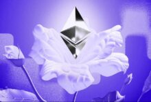 Rally del Precio de Ethereum (ETH) a $2,600: Explora los Riesgos Inquietantes - Cripto Boom