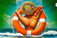 Nigerianos Recurren al Bitcoin ante el Colapso del Naira: Descubre Más - Cripto Boom