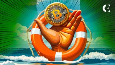 Nigerianos Recurren al Bitcoin ante el Colapso del Naira: Descubre Más - Cripto Boom