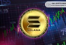 Una Ballena Retiró 32,695 Solana para Comprar Estos Tres Memecoins: Descubre Cuáles Son - Cripto Boom