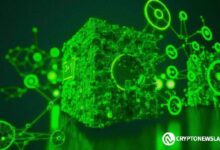 Revelación de Amenazas Ocultas: Descubre las Fallas Críticas en la Seguridad Blockchain - Cripto Boom