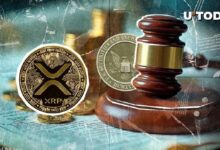 Ripple vs. SEC: ¿Qué Está en Juego para XRP? Descubre el Análisis de un Veterano de la SEC - Cripto Boom