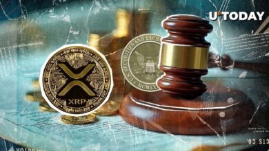 Ripple vs. SEC: ¿Qué Está en Juego para XRP? Descubre el Análisis de un Veterano de la SEC - Cripto Boom