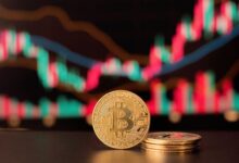 ATOM, MEW y POPCAT lideran ganancias diarias: ¡Descubre las razones del estancamiento de Bitcoin a pesar del optimismo alcista! - Cripto Boom