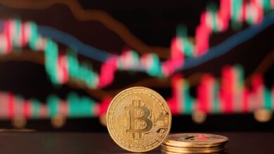 ATOM, MEW y POPCAT lideran ganancias diarias: ¡Descubre las razones del estancamiento de Bitcoin a pesar del optimismo alcista! - Cripto Boom