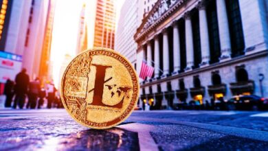 Canary Capital presenta solicitud S-1 para el primer ETF de Litecoin en el mercado estadounidense: ¡Descubre las oportunidades! - Cripto Boom