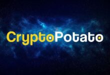 Préstamos Cripto de Alto Riesgo Aumentan al Nivel Más Alto en 2 Años: ¡Descubre Qué Significa! - Cripto Boom