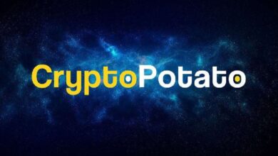 Préstamos Cripto de Alto Riesgo Aumentan al Nivel Más Alto en 2 Años: ¡Descubre Qué Significa! - Cripto Boom
