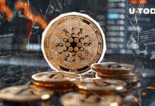 El Analista Principal de ETFs de Bloomberg Cuestiona el Futuro de Cardano: ¡Descubre los Detalles! - Cripto Boom