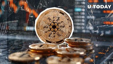 El Analista Principal de ETFs de Bloomberg Cuestiona el Futuro de Cardano: ¡Descubre los Detalles! - Cripto Boom