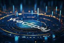 Una Perspectiva Analítica sobre la Crisis de WTK WadzPay: Descubre Opiniones de Expertos Aquí - Cripto Boom