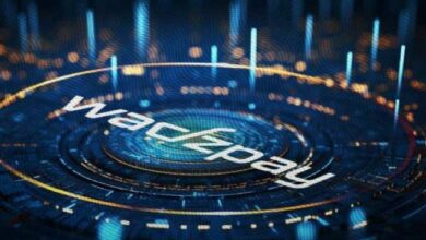 Una Perspectiva Analítica sobre la Crisis de WTK WadzPay: Descubre Opiniones de Expertos Aquí - Cripto Boom