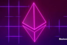 Una cadena para cada aplicación es la nueva meta cripto: Descubre la revolución - Cripto Boom