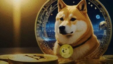 ¡DOGE se Prepara para un Repunte Alcista! Próximamente Alcanzará su Máximo Histórico con Objetivos Desde $1 Hasta $10 - Cripto Boom