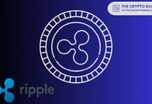 Experto Advierte: Ripple Podría Perder su XRP y Otros Activos si Esto Sucede - ¡Descubre por Qué! - Cripto Boom
