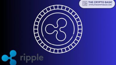 Experto Advierte: Ripple Podría Perder su XRP y Otros Activos si Esto Sucede - ¡Descubre por Qué! - Cripto Boom