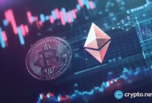 Ballenas de Ethereum compraron $254 millones en ETH a pesar del aumento de flujos en intercambios: ¡Descubre por qué! - Cripto Boom