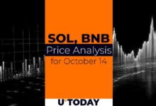 Predicción de Precios de SOL y BNB para el 14 de Octubre: ¡Descubre las Tendencias Hoy! - Cripto Boom