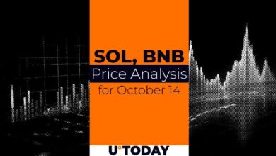 Predicción de Precios de SOL y BNB para el 14 de Octubre: ¡Descubre las Tendencias Hoy! - Cripto Boom