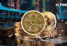 ¿Bitcoin Necesita a Cardano? La Comunidad Crypto Responde a Fred Krueger: ¡Descúbrelo! - Cripto Boom