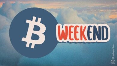 Fin de semana rojo: Bitcoin sufre mayor caída de dos días desde las elecciones en EE. UU. ¡Descubre los detalles! - Cripto Boom
