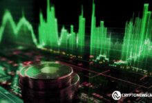 Alerta del Mercado Cripto: ¡Altcoins Podrían Sufrir Caídas del 20-30% Antes de Fin de Año! - Cripto Boom