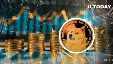¿Es posible un DOGE a $1? Experto en Criptomonedas Lanza Señal Alcista para Dogecoin: ¡Descúbrelo Aquí! - Cripto Boom