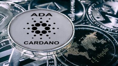 Precio de Cardano: ¿Cuál es el futuro de ADA tras un aumento del 130%? ¡Descúbrelo ahora! - Cripto Boom