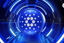 Hoskinson Elogia a la Comunidad de Cardano mientras la Actualización Voltaire Cobra Fuerza - Descubre más aquí - Cripto Boom