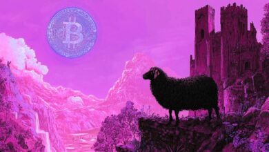 Trader Destacado Afirma que $80,000 es la 'Mayor Prueba' para Bitcoin (BTC) – Descubre Por Qué - Cripto Boom