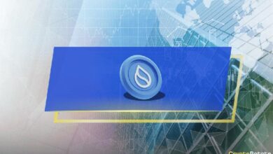 ¿Qué es Sui Network (SUI)?: La Guía Definitiva para 2024 - Descúbrelo Aquí - Cripto Boom