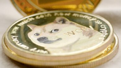 ¡Llega la Fiebre de Dogecoin a Corea! Regresa el ‘Kimchi Premium’ con el Rally de DOGE del 110% - Cripto Boom