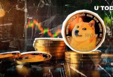 60,9 Mil Millones de Dogecoin (DOGE) en 24 Horas: ¿Qué Está Sucediendo? ¡Descúbrelo Ahora! - Cripto Boom