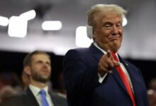 ¿Qué esperar de Bitcoin y altcoins tras la elección de Donald Trump? Análisis de expertos revela más detalles - Cripto Boom