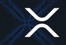 Ripple respalda el nuevo Bitwise Physical XRP ETP tras su rebranding - Descubre más aquí - Cripto Boom