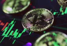 La volatilidad cripto se detiene mientras inversores esperan el resultado electoral en EE.UU. – Descubre más en Bitfinex - Cripto Boom