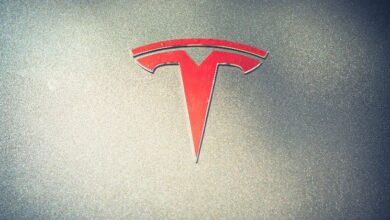 ¡Acción de Tesla Sube Más del 14%! Trump Anuncia al Ganador de las Elecciones 2024 - Cripto Boom