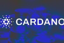 Charles Hoskinson de Cardano promete acciones legales tras rechazo del stablecoin en Wyoming: Descubre los detalles aquí - Cripto Boom