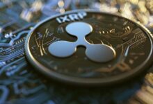 Vendedores en Corto Pierden Todo: ¡XRP Sube un 25% en 24 Horas! - Cripto Boom