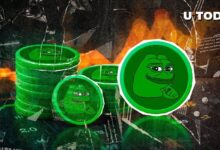 ¡El 72% de los Titulares de PEPE Obtienen Ganancias al Subir el Precio! - Cripto Boom